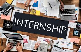 Internship experience with Hammurabi & Solomon Partners, New Delhi ...